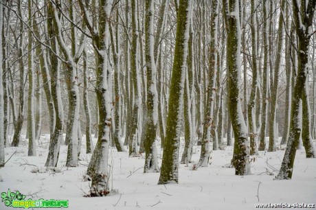 Toulky kolem Mostu - Foto Pavel Ulrych (1)