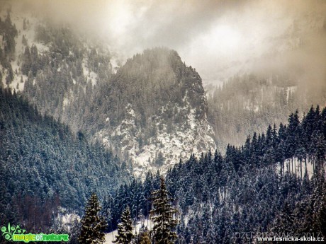 Zimní hory - Foto Jozef Pitoňák 0117 (1)