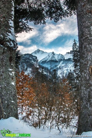 Zimní hory - Foto Jozef Pitoňák 0117 (3)