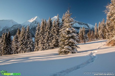 Zimní hory - Foto Jozef Pitoňák 0117 (8)