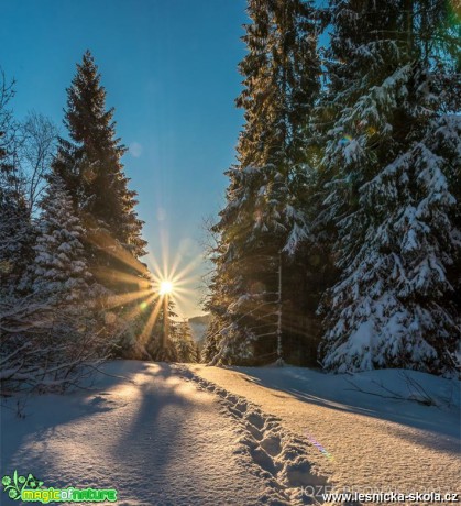 Zimní hory - Foto Jozef Pitoňák 0117 (9)