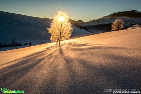 Zimní hory - Foto Jozef Pitoňák 0117 (12)