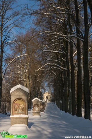 Zimní Cvikovská kalvárie - Foto Petr Germanič 0117