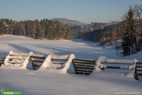 Sněhové bariéry v krajině - Foto Petr Germanič 0117