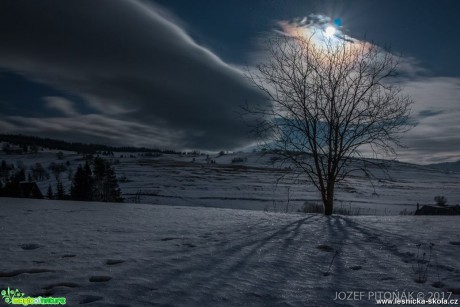 Za měsíčního svitu - Foto Jozef Pitoňák 0217