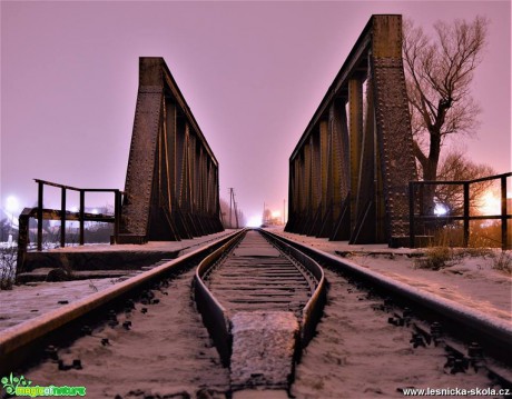 Na železničním mostě - Foto Dušan Sedláček 0217