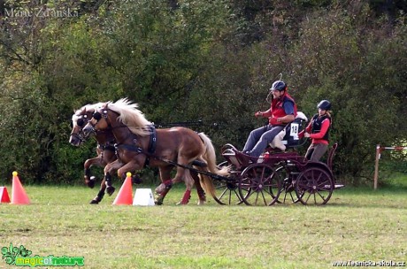 Hobby vozatajské závody - Foto Marie Žďánská (2)