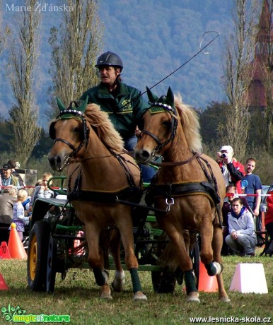 Hobby vozatajské závody - Foto Marie Žďánská (3)