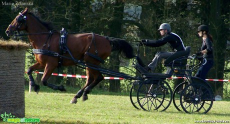 Hobby vozatajské závody - Foto Marie Žďánská (5)