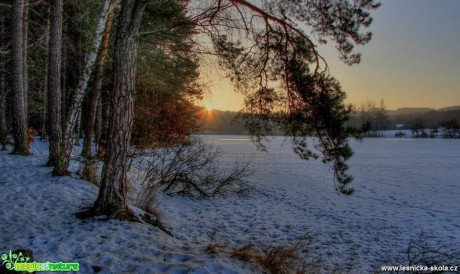 U Pávovského rybníka - Foto Ladislav Jonák