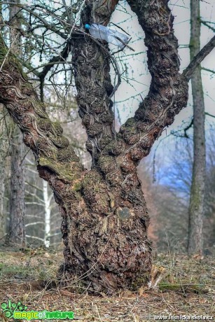 Neobvyklý - Foto Pavel Ulrych