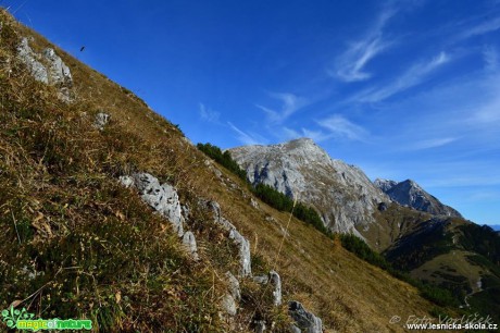 Návštěva Alp - Foto Michal Vorlíček 0317 (4)