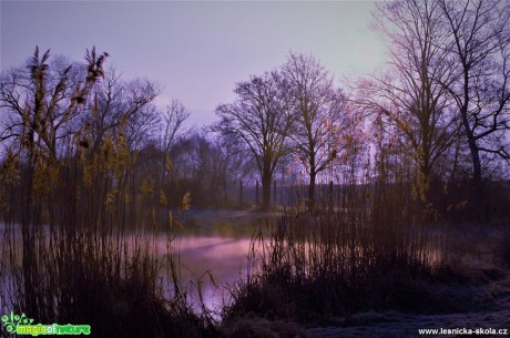 V předjaří u vody - Foto Dušan Sedláček 0317 (1)