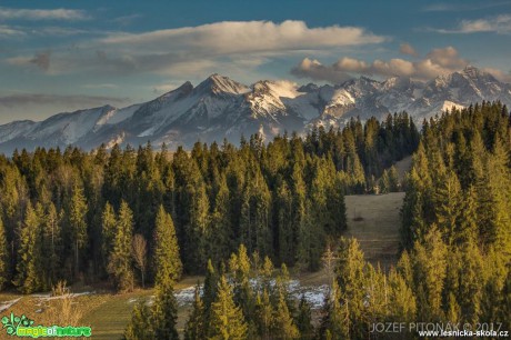 Život slovenských hor - Foto Jozef Pitoňák 0317 (3)