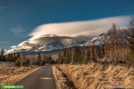 Život slovenských hor - Foto Jozef Pitoňák 0317 (4)