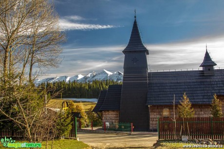 Život slovenských hor - Foto Jozef Pitoňák 0317 (6)