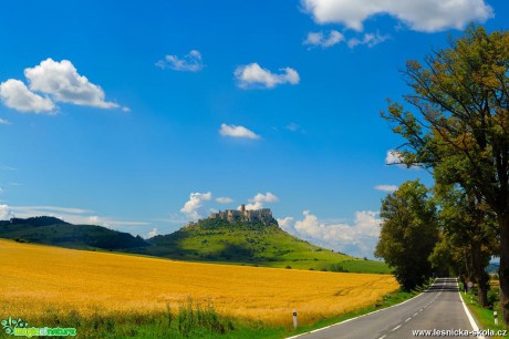 Spišský hrad - Foto Milan Kašuba 0317