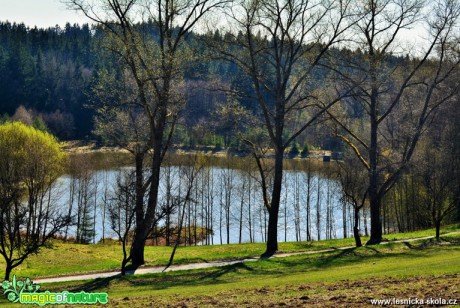 Předjaří - Foto Lída Burešová 0417 (3)