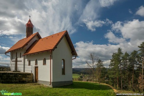 V Mařenicích - Foto Petr Germanič 0417