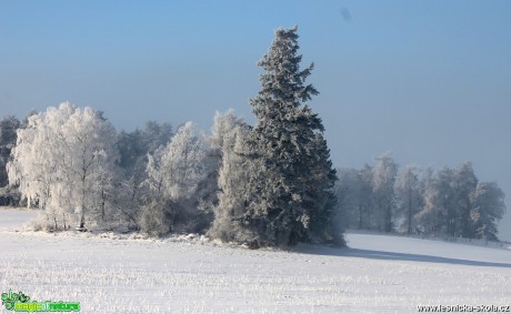 Zimní - Foto František Novotný 0417