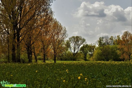 Jarní krajina - Foto Dušan Sedláček 0517 (2)