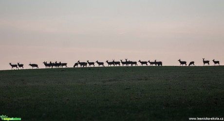 Na horizontu - Foto Lukáš Málek 0517