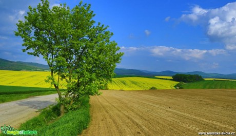 Zemědělská krajina - Foto Pavel Balazka 0517