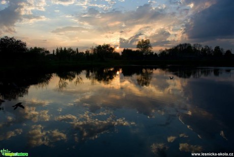 Zrcadlení - Foto Marie Vykydalová 0517