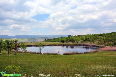 Mostecké jezero - Foto Pavel Ulrych 0517 (3)