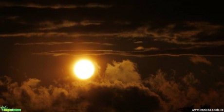Slunce vylezlo z pod mraků - Foto Ladislav Jonák 0617