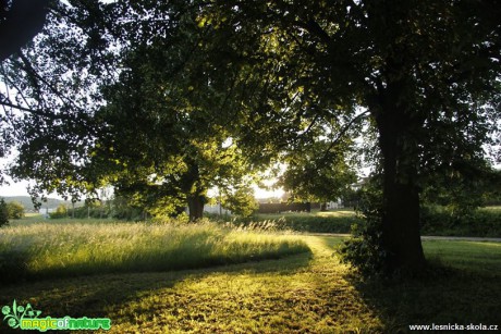 Hra se světlem a stíny - Foto Ladislav Jonák 0617