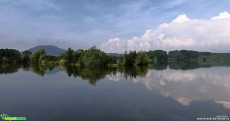 Zrcadlení na Modlanském rybníku - Foto Jiří Havel 0617