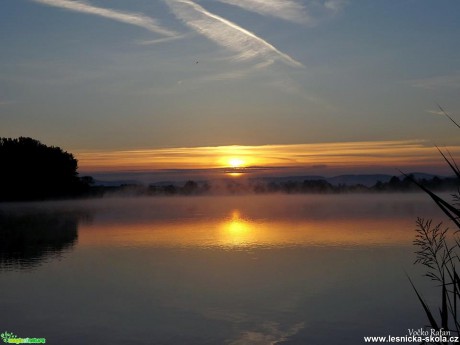 Ráno na Modlanském rybníku - Foto Jiří Havel 0617