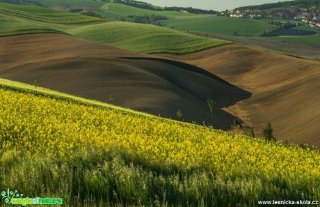 Moravské vlnění - Foto Petr Germanič 0617