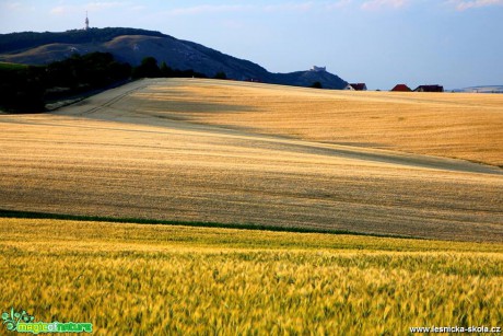 Pálava - Foto Jan Valach 0617