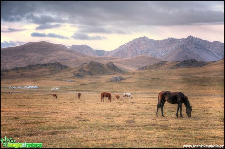 Kyrgyzstán 2016 - Foto Jana Vondráčková (39)