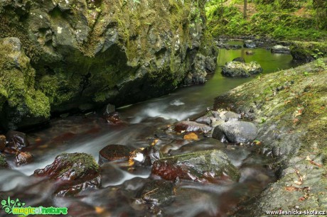 Potůček Bobří soutěsky - Foto Petr Germanič 0817