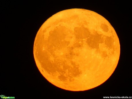 Měsíc - Foto Tomáš Kunze 0817 (1)