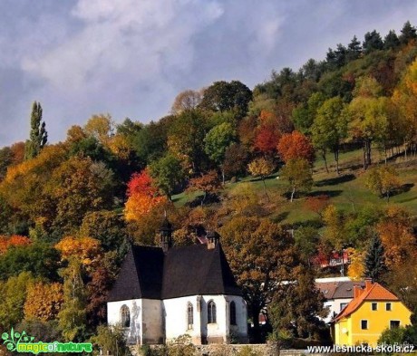 Barvy podzimu - Foto Jiří Havel 0917