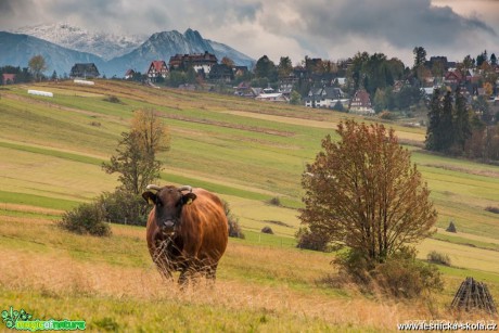 Podzimní hory - Foto Jozef Pitoňák 1017 (11)