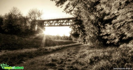 Sluneční svit pod mostem - Foto Ladislav Jonák 1017