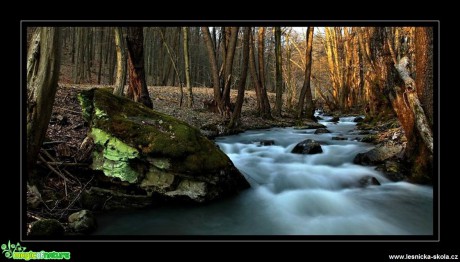 Tajemná řeka - Foto Pavel Balazka 1017