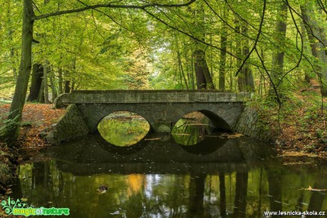 Zámecký mostek - Dobříš - Foto Petr Germanič 1017