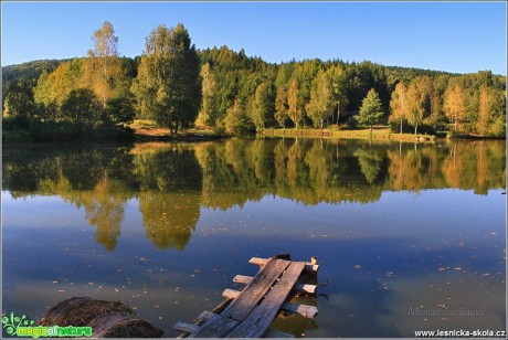 Dolní Poustevna - Foto Monika Suržinová 1107