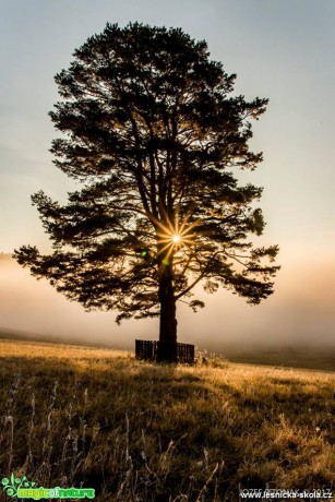 Krása a divokost hor - Foto Jozef Pitoňák 1117 (8)