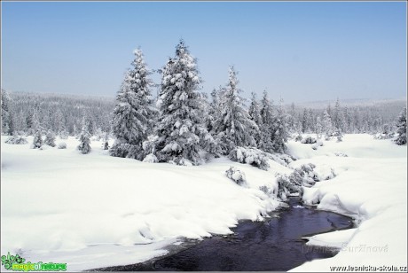 Jizerské hory - Foto Monika Suržinová 1117