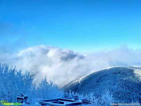 Mráz, sníh, azurové nebe a nízká oblačnost na Lysé - Foto Jan Valach 1217
