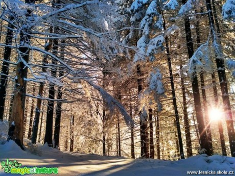 Po žlute od Lukšince do Malenovic 1. 12. 2017 - Foto Jan Valach