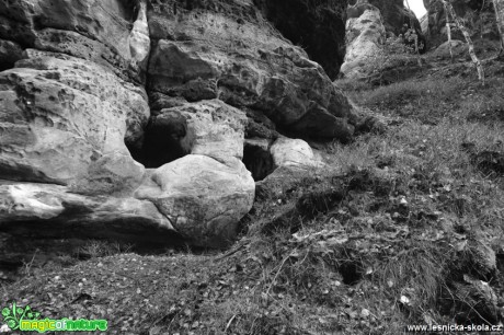 Bytosti ve skalách - někdo se dívá - Foto Tomáš Kunze (1)