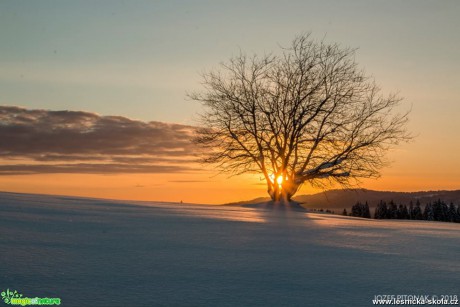 Horské slunce - Foto Jozef Pitoňák 0218 (5)